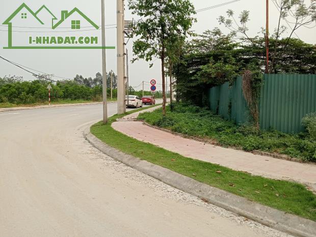 CHUYỂN NHƯỢNG Đất Khu Công Nghiệp Tại ÂN THI. HƯNG YÊN