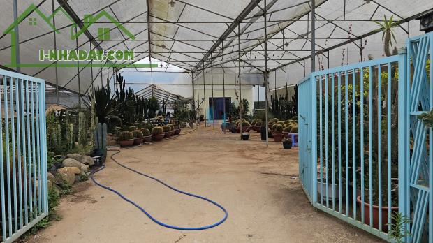 Bán Đất mặt tiền đường Mimosa, Phường 10, Đà Lạt 1668,73mv - 1