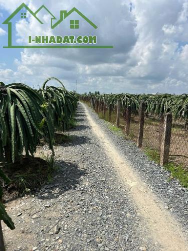 Gia Đình Bán Nhanh 2 Lô Đất Nhỏ Tại Dương Xuân Hội, Châu Thành, Long An - 4