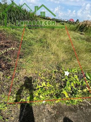 Gia Đình Bán Nhanh 2 Lô Đất Nhỏ Tại Dương Xuân Hội, Châu Thành, Long An - 3