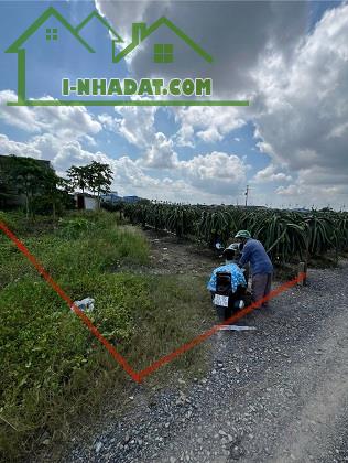 Gia Đình Bán Nhanh 2 Lô Đất Nhỏ Tại Dương Xuân Hội, Châu Thành, Long An - 2