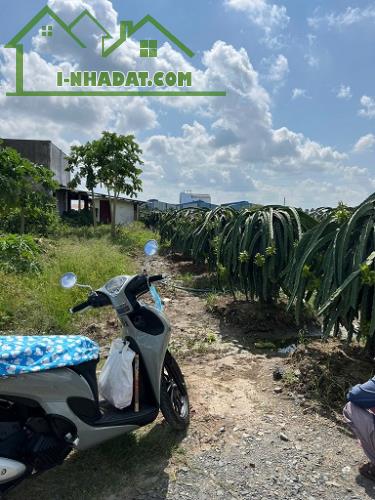 Gia Đình Bán Nhanh 2 Lô Đất Nhỏ Tại Dương Xuân Hội, Châu Thành, Long An - 1