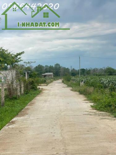 Bán vườn thanh long ruột đỏ, Khu vực đá quý Xã Hồng Liêm, Huyện Hàm Thuận Bắc, Bình Thuận - 4