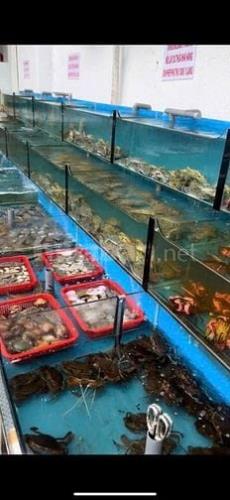 Quận Gò Vấp, Sang nhượng nhà hàng Buffet hải sản, Liên hệ: 0902888782 chính chủ - 3