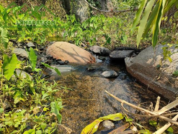 Bán đất vườn Khánh Nam giáp suối đá chảy quanh năm - 2