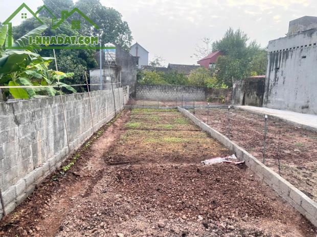 Bán đất Long Hưng, Văn Giang, Hưng Yên, 62m2, đường ô tô tránh, full thổ, 2.x tỷ.097132046 - 1