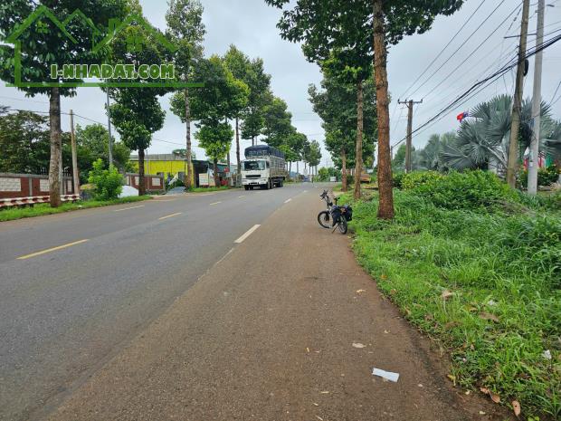 Bán Đất Kinh Doanh Mặt Tiền Lê Hồng Phong,Thị trấn Ngãi Giao, Châu Đức - 1