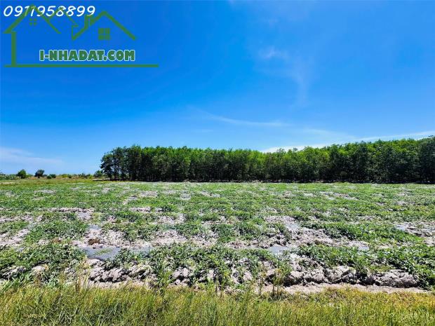 Bán 1 sào đất Tân Bình, thị xã LaGi giá ngộp chỉ 900 triệu sổ riêng gần biển