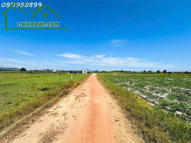 Bán 1 sào đất Tân Bình, thị xã LaGi giá ngộp chỉ 900 triệu sổ riêng gần biển - 1