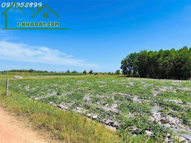 Bán 1 sào đất Tân Bình, thị xã LaGi giá ngộp chỉ 900 triệu sổ riêng gần biển - 2