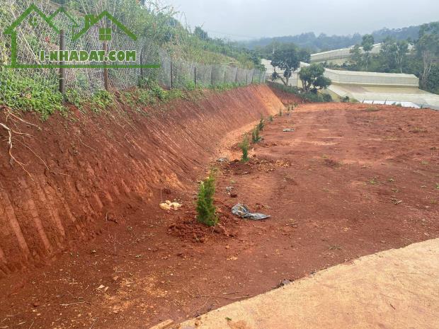 Bán đất hẻm trường sơn xuân trường Đà Lạt chỉ 7,5 tỷ - 3