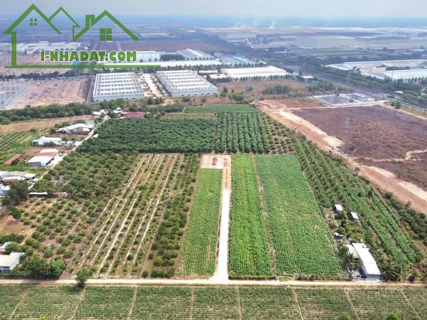 Chỉ với 1,2tr/m2 có ngay 2000m2 đất xây nhà trọ sát KCN Phước Đông với 800m2 thổ cư - 3