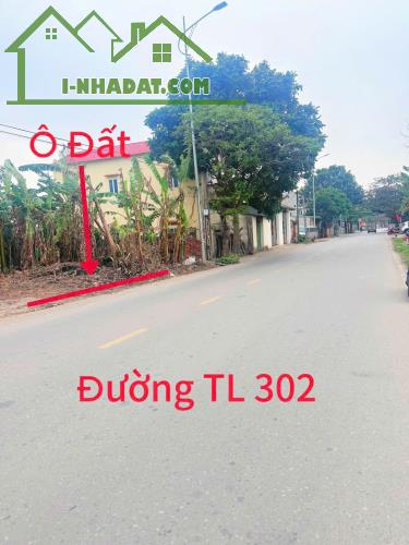 Bán đất kinh doanh mặt đường TL302, Hương Sơn, Bình Xuyên, Vĩnh Phúc. - 1