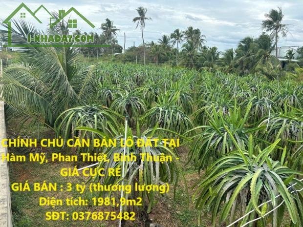 CHÍNH CHỦ CẦN BÁN LÔ ĐẤT TẠI Hàm Mỹ, Phan Thiết, Bình Thuận - GIÁ CỰC RẺ