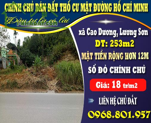 Chính chủ cần bán mảnh đất thổ cư 253m2 mặt đường Hồ Chí Minh
