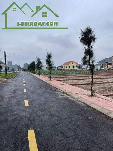 Cần bán gấp 98m2 cạnh Bãi Tắm Quảng Trường - Công viên TT Quất Lâm chỉ 1 tỷ