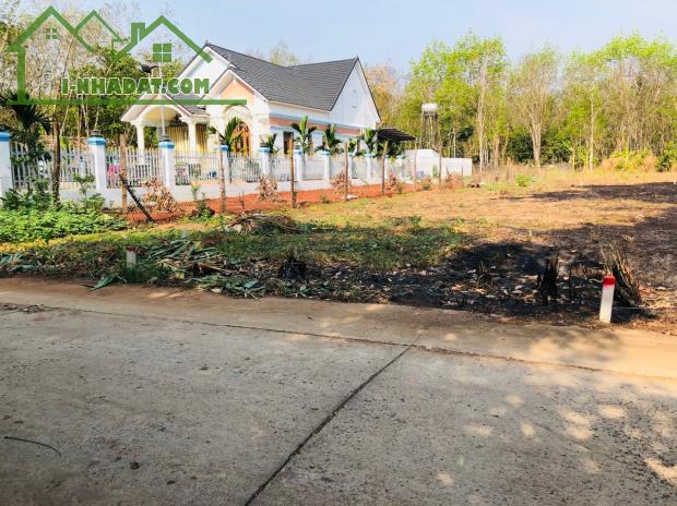 CẦN BÁN 16X74= 1170M2 ĐẤT SỔ HỒNG ĐỐI DIỆN KCN, GẦN CHỢ TIỆN XÂY TRỌ. GIÁ 150 TRIỆU