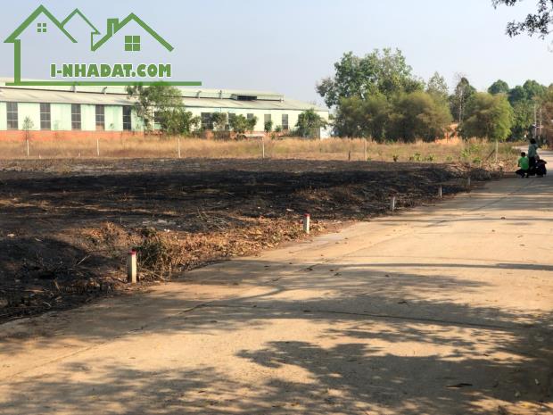 CẦN BÁN 16X74= 1170M2 ĐẤT SỔ HỒNG ĐỐI DIỆN KCN, GẦN CHỢ TIỆN XÂY TRỌ. GIÁ 150 TRIỆU - 1