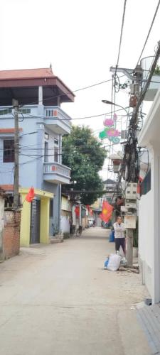 BÁN ĐẤT NỀN PHÚC HẬU, DỤC TÚ, ĐÔNG ANH, 68M2, GIÁ CHỈ 4.1 TỶ Hot!!!! - 2