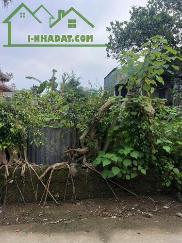 ĐẤT DƯỠNG MONG PHÚ MỸ 107M2 GIÁ CHỈ 1,75 TỶ - 1