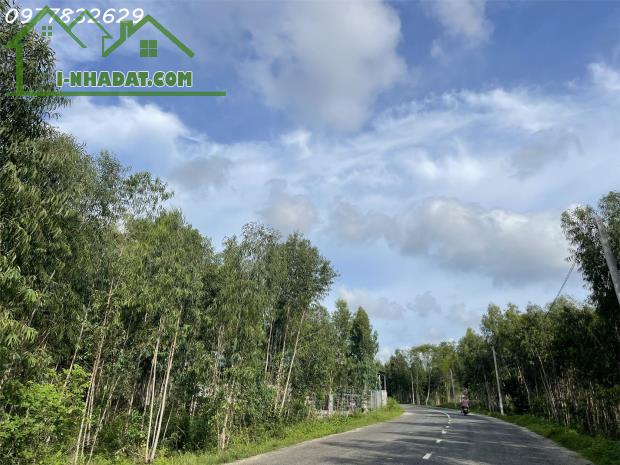 Chỉ 750 triệu sở hữu 732m2 đất ONT Tân Xuân - Hàm Tân đường nhựa rộng 10M sổ riêng - 1