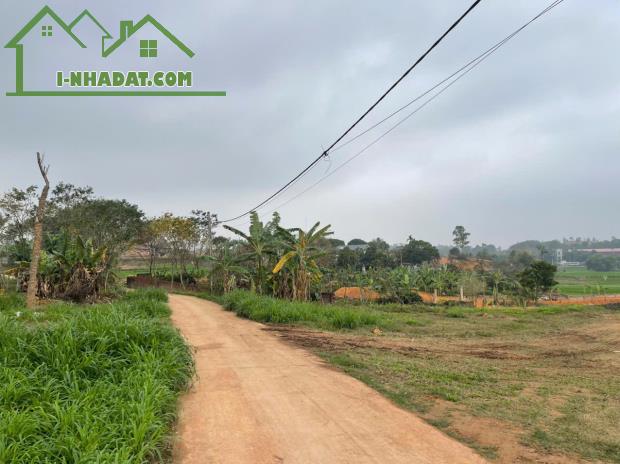 4500m Hướng Đạo, Tam Dương, Vĩnh Phúc - 4