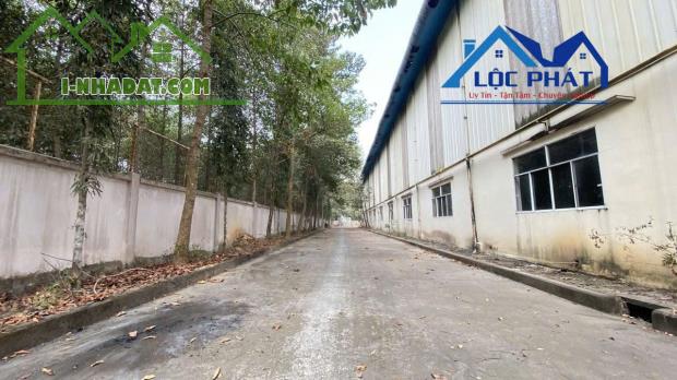 Cho thuê kho xưởng KCN Tam Phước Biên Hòa Đồng Nai 2800m2 chỉ 3 usd/m2 - 3