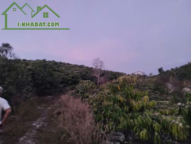 Bán Lô Đất đất Thôn 5 Đắc Măng,  Đa San, Đam Rong, Lâm Đồng.