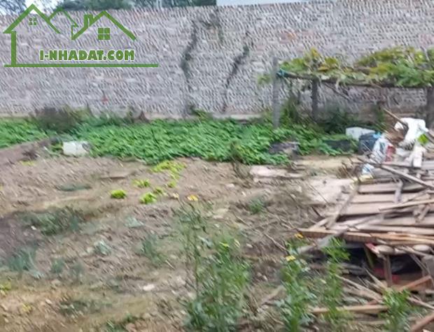 Bán đất An Bình sát vách kcn thuận thành 2