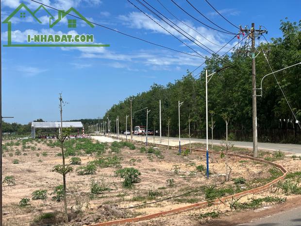 TRỪ VĂN THỐ-BÀU BÀNG GIÁ RẺ CƠ HỘI ĐẦU TƯ - 3