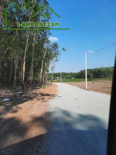 ĐẤT ĐẸP TIỀM NĂNG PHÁT TRIỂN BÌNH PHƯỚC .TRƯỚC CỔNG KHU CÔNG NGHIỆP 7,370M MINH HƯNG - 1