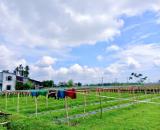 ❌ Bán nhanh lô đất diện tích 280m2 đất ở hoàn toàn tại đô thị Nam Phước