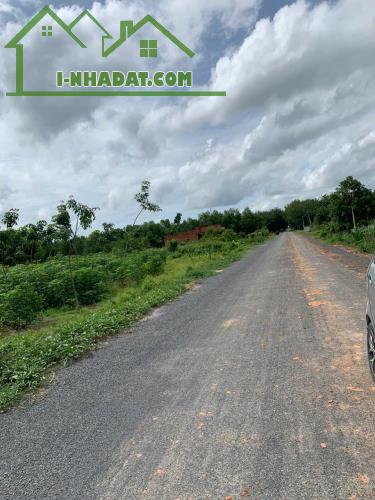 ĐẤT THỔ CƯ - MẶT TIỀN Đường Giồng Nần, Xã Long Vĩnh, Huyện Châu Thành, Tây Ninh - 2