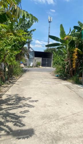 🏡 Đất 50m² – Đường Nhựa 8m – Ô Tô Tận Nơi – Giá Tốt! 🏡 - 1