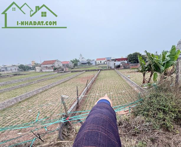 Bán gấp lô đất trung tâm thị trấn 100m2 mặt tiền 5m giá chỉ hơn 10 triệu - 3