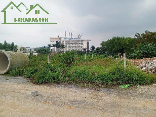 CHỦ KẸT TIỀN CẦN BÁN BỜ BẮC MẶT TIỀN SÔNG TRÀ GIÁ RẺ - 2
