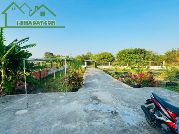 Nhà vườn tổng dt 1400m2 đất lúa xã Phước Lâm, huyện Cần Giuộc 2pn 1wc giá 5,5 tỷ