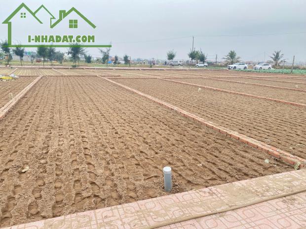 Cần Bán Đất Tại Bãi Biển Quất Lâm- Huyện Giao Thuỷ -Nam Định - 3