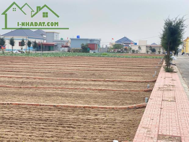 Cần Bán Đất Tại Bãi Biển Quất Lâm- Huyện Giao Thuỷ -Nam Định - 1