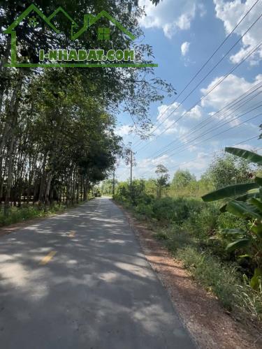 ĐẤT GIÁ RẺ, MẶT TIỀN TRỪ VĂN THỐ BÀU BÀNG - 1
