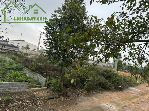 150m2 full thổ cư mặt 10m đồi k6 thủy Xuân tiên chương Mỹ HN giá đầu tư