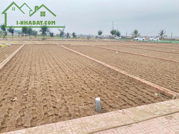 Cần Bán Đất Tại Bãi Biển Quất Lâm- Huyện Giao Thuỷ -Nam Định - 3