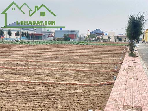 Cần Bán Đất Tại Bãi Biển Quất Lâm- Huyện Giao Thuỷ -Nam Định - 1