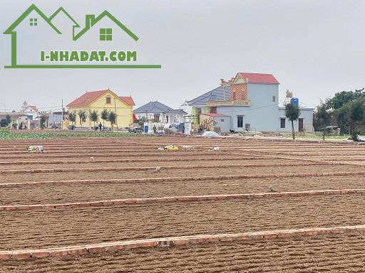 Cần Bán Đất Tại Bãi Biển Quất Lâm- Huyện Giao Thuỷ -Nam Định