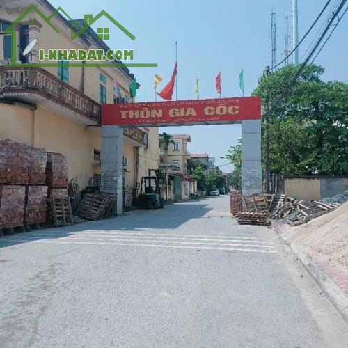 bán đất gia lâm diện tích 120m2 mặt tiền 9m gần vinhome ocean park - 2
