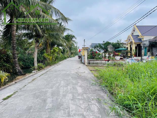 Bán đất Minh Tân - Kiến Thụy - Hải Phòng - 2