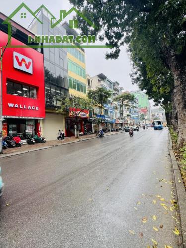 Bán Nhà Mặt Phố Kim Quận Mã Ba Đình 80m7T MT5m Vỉa Hè 54 Tỷ Kim Mã. - 5
