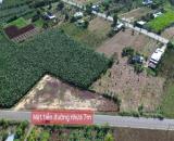 ĐẦU TƯ SINH LỜI CAO ĐẤT LONG TÂN GIÁ RẺ CHỈ VỚI 600 TRIỆU SỔ SẴN LH 0767639670