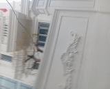 Chủ Bán Nhanh Để sang Định cư Ở Pháp cùng con Trai Giá Rẻ Tiên Dương Đông Anh Hà Nội