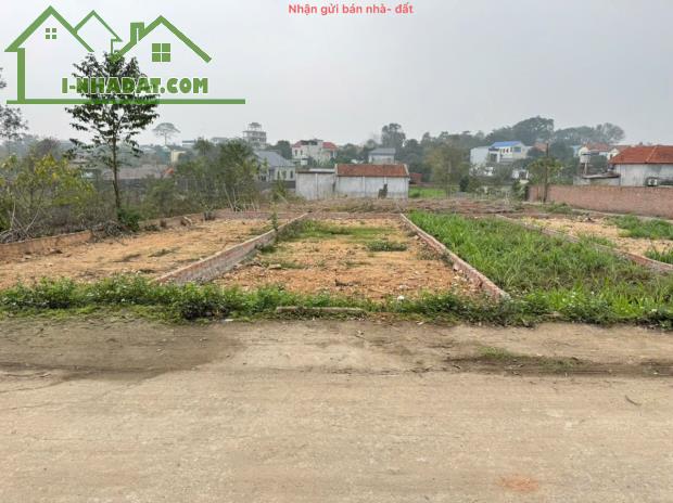 Bán Đất Vàng Tổ 10, Quang Minh, Mê Linh - Đầu Tư Sinh Lời, An Cư Lý Tưởng! - 1